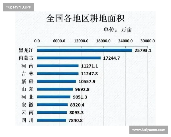 萨瓦德尔球队的辉煌历程与未来展望解析 萨瓦德尔球队的辉煌历程与未来展望解析